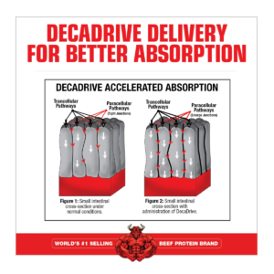 Amino Decanate Energy 30 Serv