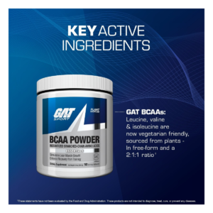 BCAA Powder 50 Serv 250 GRS