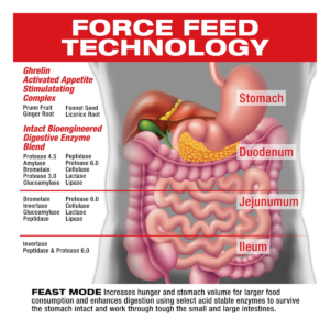 Feast Mode 90 Tabs