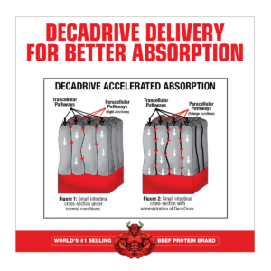 Glutamine Decanate 300 GRS
