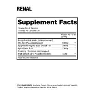 Renal 60 CT